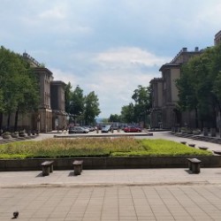 the-avenue-of-roses the-avenue-of-roses