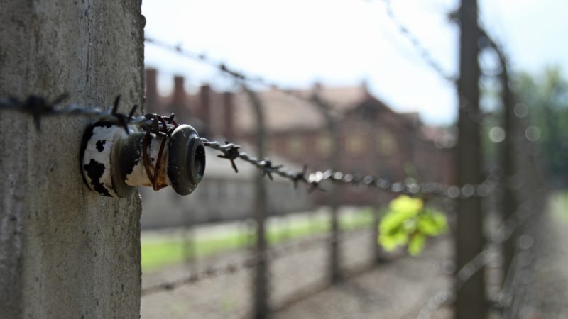 Przewodnik po Auschwitz