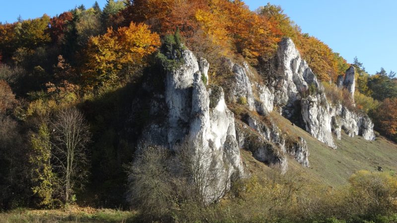 Ojcowski park narodowy latem