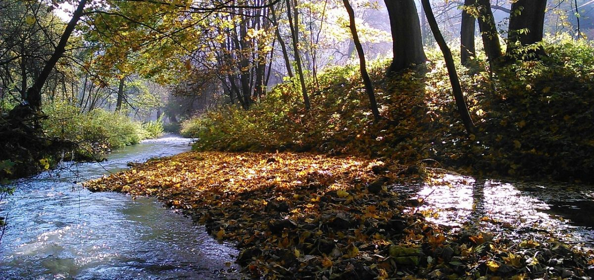 Zwiedzanie ojcowskieg parku narodowego