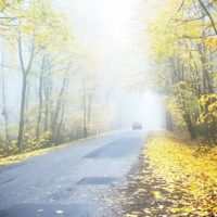 Ojców - droga dojazdowa